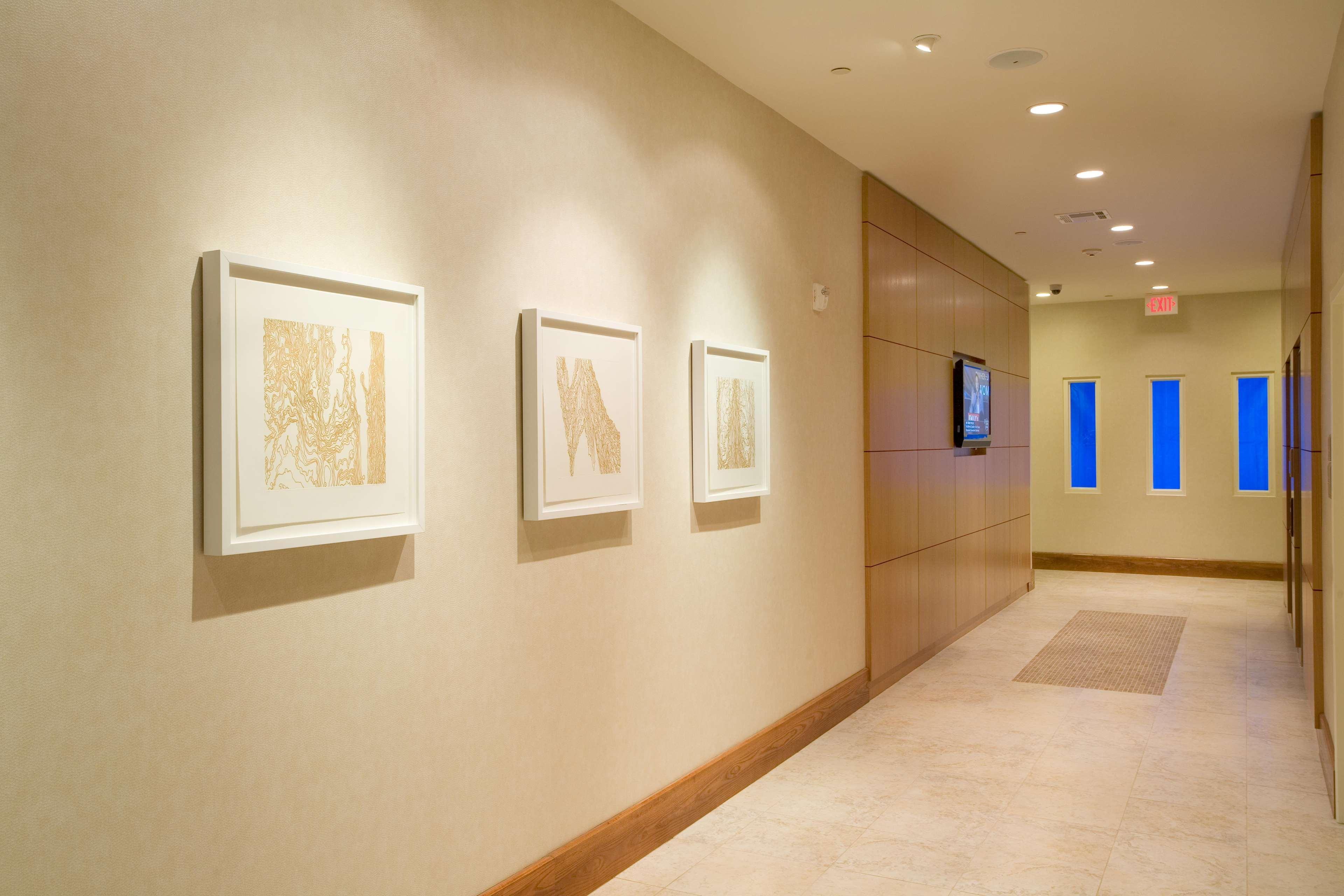 Hilton Garden Inn Dallas Richardson Exterior photo
